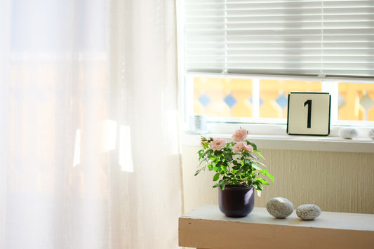 Bring a Splash of Color to Your Home with Wonder Land's Colorful Organza Rod Pocket Curtains!