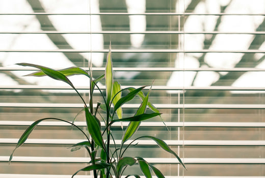 Room Blinds Selection